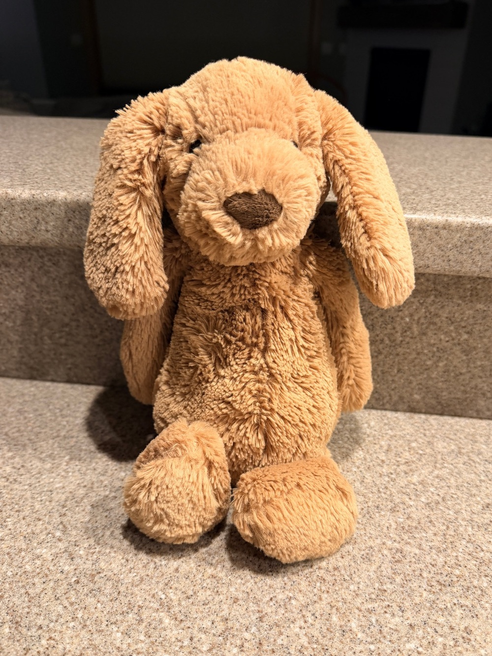 Jellycat Bashful Tan Toffee Puppy 12”